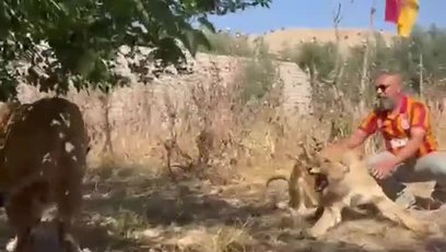 >Aslanlarıyla Galatasaray'ın şampiyonluğunu kutladı!